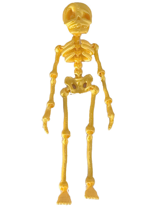 3D Printed Vintage Skeleton Magnetic Figurine
